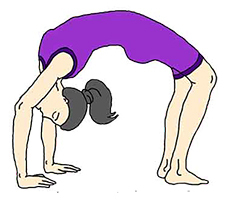 Chakrasana Wheel Pose Yoga Asana