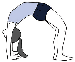 Urdhva Dhanurasana