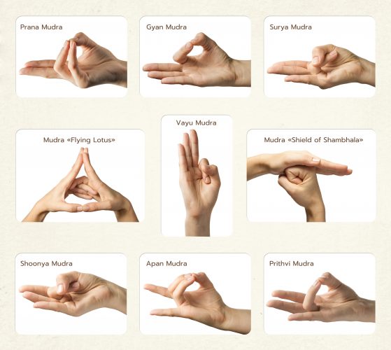 Tehnici mudra